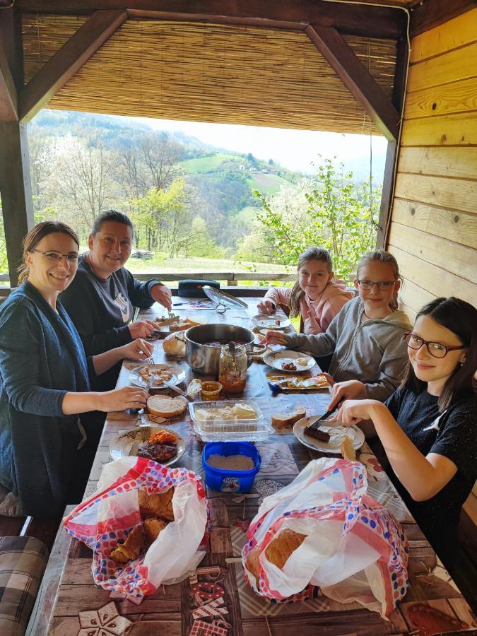 Brvnara na bregu Bajina Basta Exterior foto